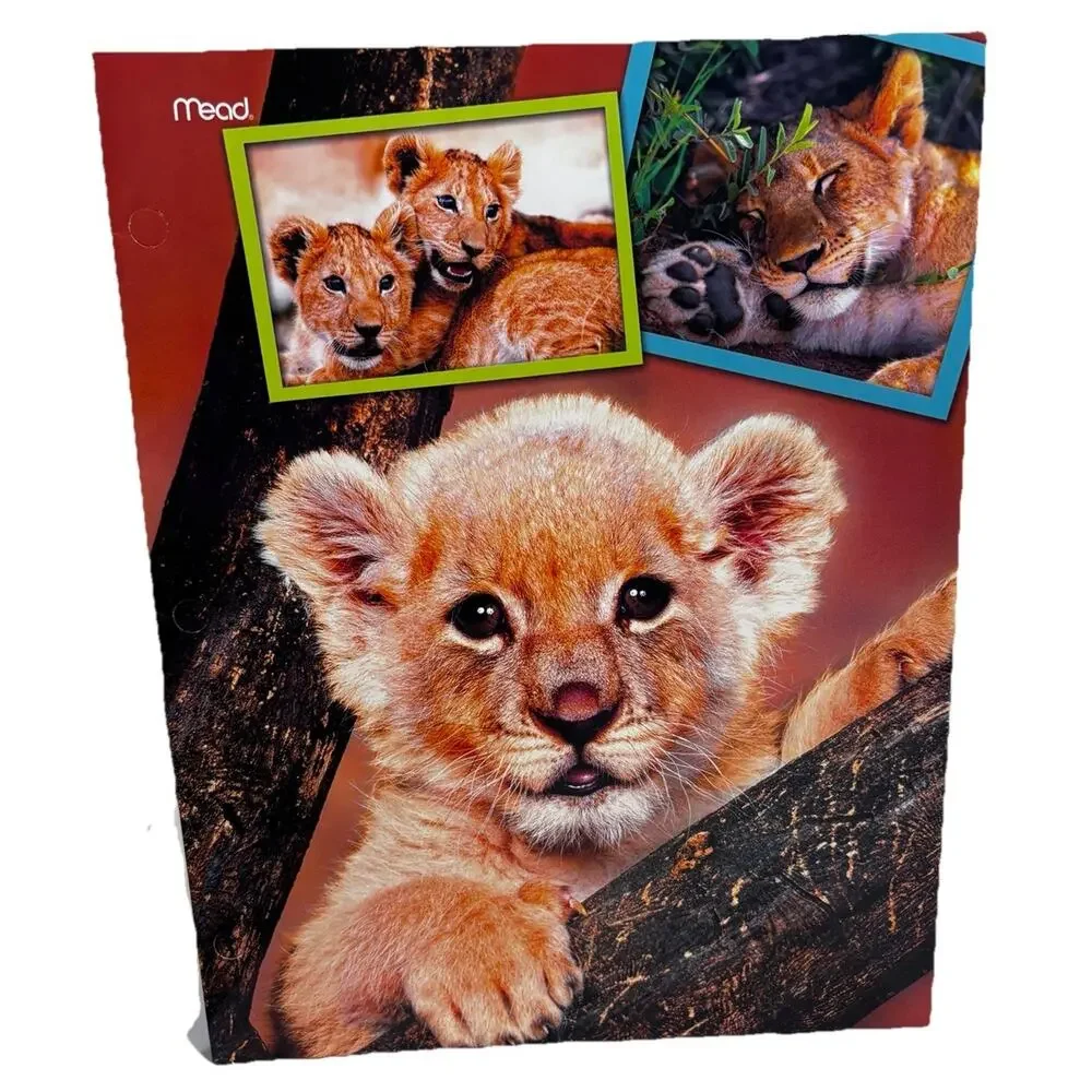 2010 Mead Baby Lion Cub Folder Portfolio 12